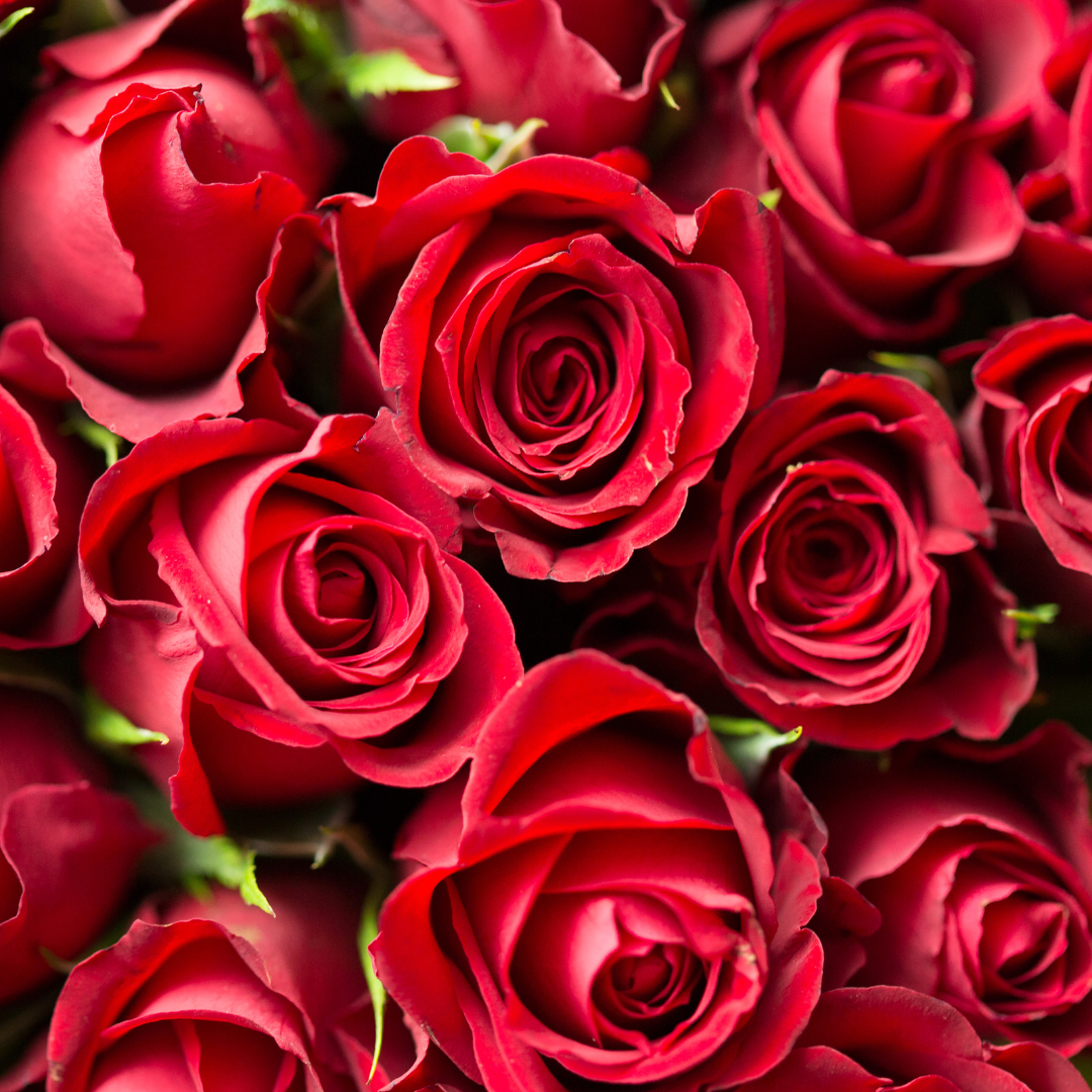 Saint-Valentin à Bulle Le Câro