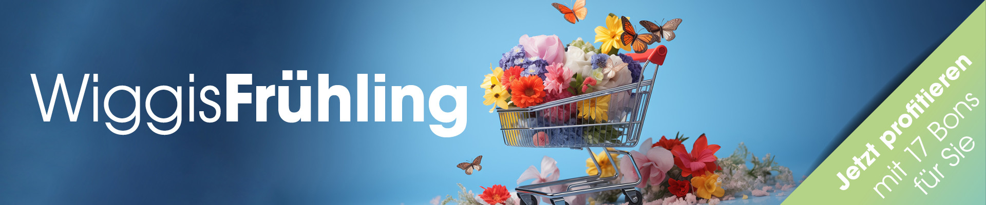 Bonflyer Frühling