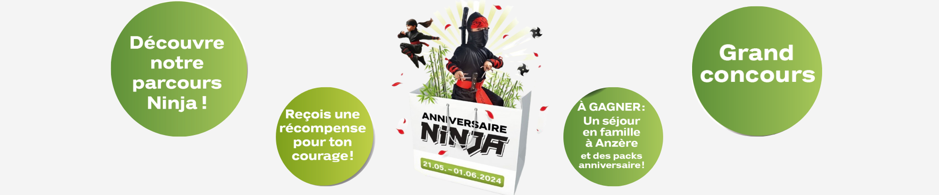 Anniversaire Ninja