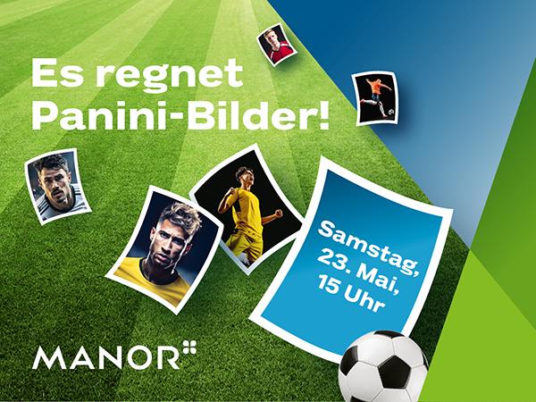 Paniniregen
