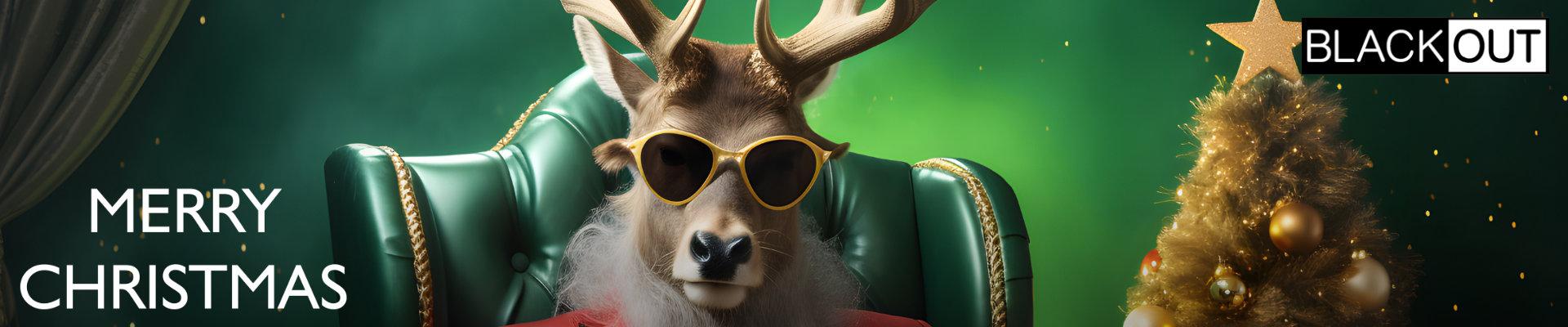 MERRY CHRISTMAS & A HAPPY NEW YEAR