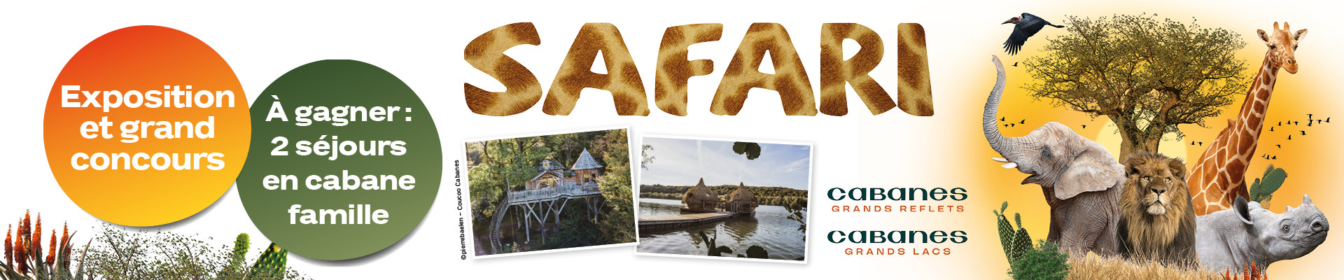 Exposition Safari