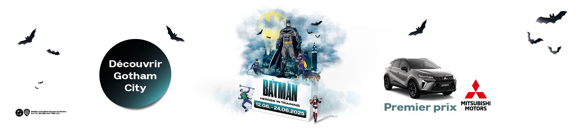 Batman Heroes In Training